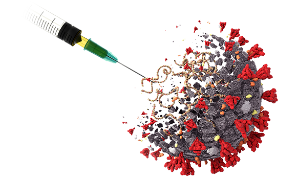 mRNA vaccine characterization mRNA vaccine characterization