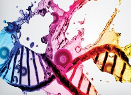 Drug Discovery Services colored double helix