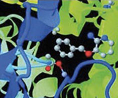 Sample interaction of compound from Maybridge fragment libraries within a target Sample interaction of compound from Maybridge fragment libraries within a target