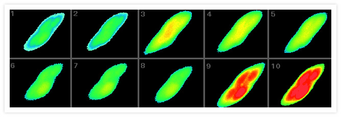 Pseudocolored image Pseudocolored images of changes in intracellular free Ca2+