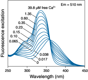 Fluorescence excitation spectra of fura-2 Fluorescence excitation spectra of fura-2