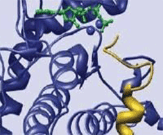 kinase-biology kinase biology