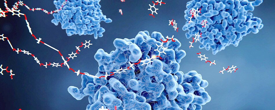 COL017457-pharma-bio_Toxicology-and-Safety-Assessment-1075989344 COL017457-pharma-bio_Toxicology-and-Safety-Assessment-1075989344