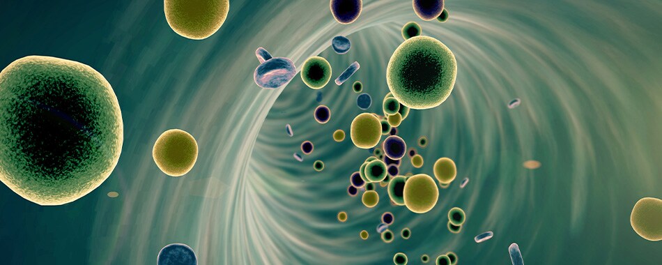 COL017457-pharma-bio_Preclinical-Dosage-Toxicology-and-Safety-Testin-203004232 COL017457-pharma-bio_Preclinical-Dosage-Toxicology-and-Safety-Testin-203004232