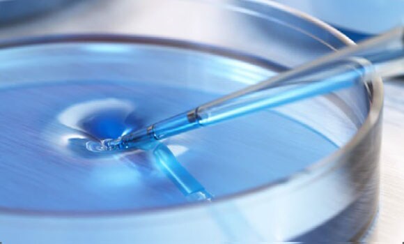 Thermo Scientific Gas Analysis Mass Spectrometers Thermo Scientific Gas Analysis Mass Spectrometers