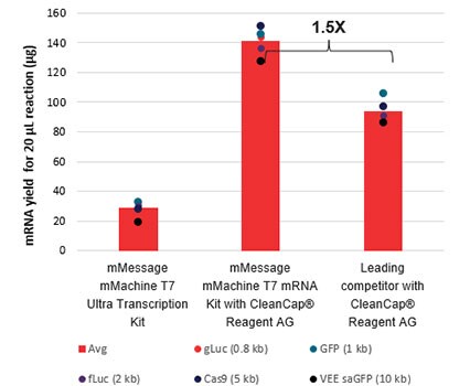 mRNA yield Graph of mRNA yield