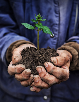 Environmental Environmental