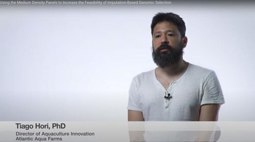 tiago-hori tiago-hori