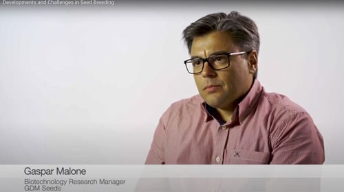 gaspar-malone gaspar-malone