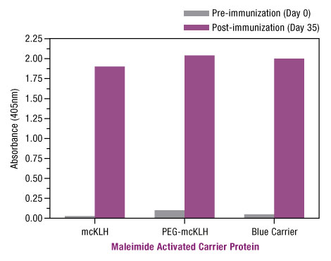 Figure 5. Sulfhydryl conjugation to maleimide-activated Thermo Scientific Imject Carrier Proteins elicits similarly strong immune responses to generate high levels of antigen-specific antibody Figure 5. Sulfhydryl conjugation to maleimide-activated Thermo Scientific Imject Carrier Proteins elicits similarly strong immune responses to generate high levels of antigen-specific antibody