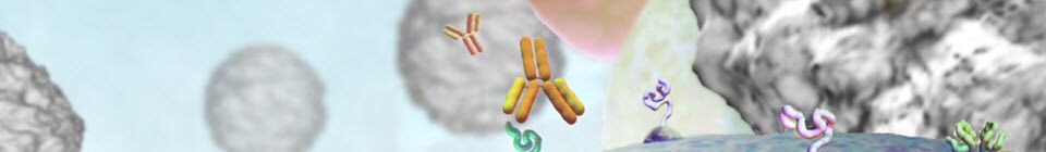 Antibodies Learning Center Antibodies Learning Center