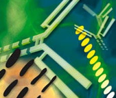 Antibody-Production-Art-230 Antibody-Production-Art-230