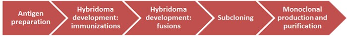 antibody development project antibody development project