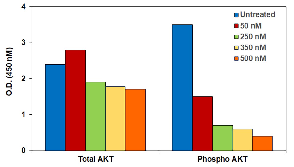 AKT-in-jurkat-cells-1200x638 AKT-in-jurkat-cells-1200x638