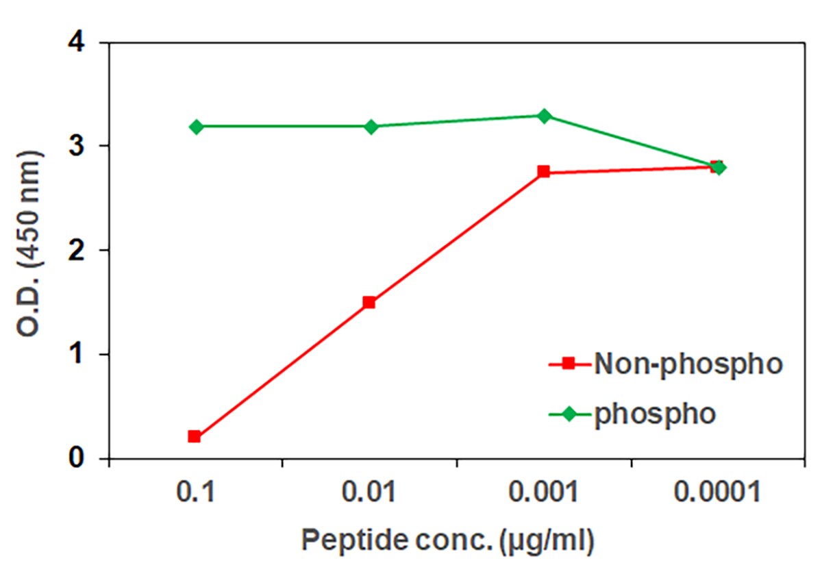 specificity-of-AKT-ELISA-1200x825 specificity-of-AKT-ELISA-1200x825