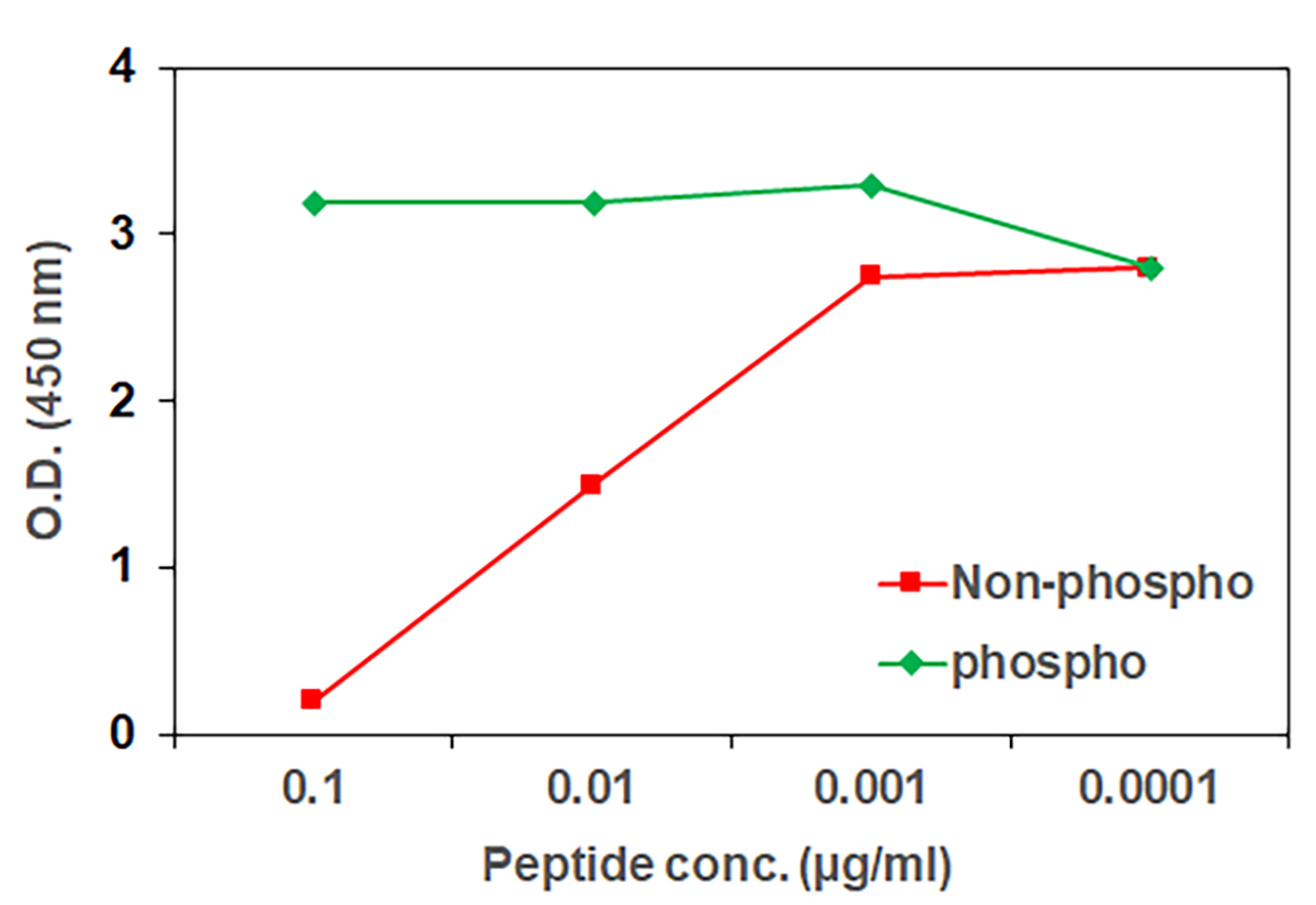 specificity-of-AKT-ELISA-1200x825 specificity-of-AKT-ELISA-1200x825