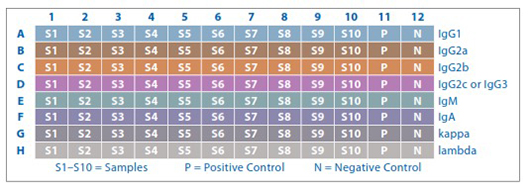 Plate layout for Isotyping ELISA Kits Drawing of 96 well plate labeled with sample types