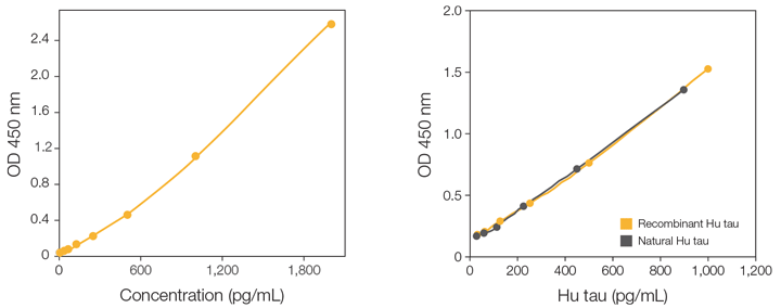 Human Tau ELISA Kit standard curve and comparison to recombinant human tau Graph showing tau standard protein concentration as a function of optical density and second graph showing both human and recombinant tau concentrations are similar