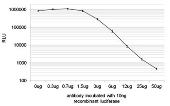 Neutralizing effect of Red firefly Neutralizing effect of Red firefly