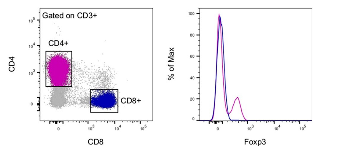 Relative expression validation demonstrated by flow cytometry Relative expression validation demonstrated by flow cytometry
