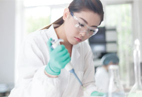 Gibco Peptones Decorative image for Gibco Peptones