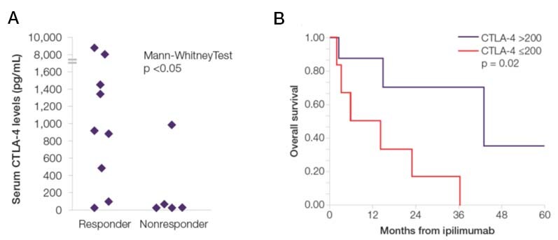 Results from CTLA-4 ELISA measurements Graph of CTLA-4 levels for responders and nonresponders