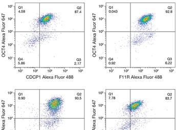 BioProbes article BioProbes article