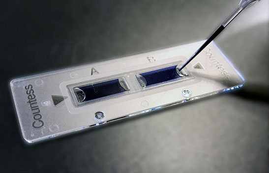Loading a Countess chamber slide Countess chamber slide with one chamber filled and the second chamber in mid-fill with pipette tip