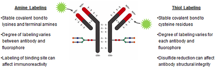 HTS Analysis of Phagocytosis Inhibition HTS Analysis of Phagocytosis Inhibition