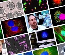 Cell Analysis Educational Videos & Webinars Cell Analysis Educational Videos & Webinars