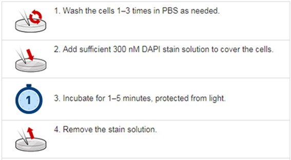 Protocols Protocols