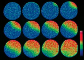 Ion Indicators and Ion Channels Information Ion Indicators and Ion Channels Information