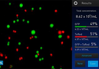 Fluorescent viability assays on the Countess II FL Automated Cell Counter Fluorescent viability assays on the Countess II FL Automated Cell Counter