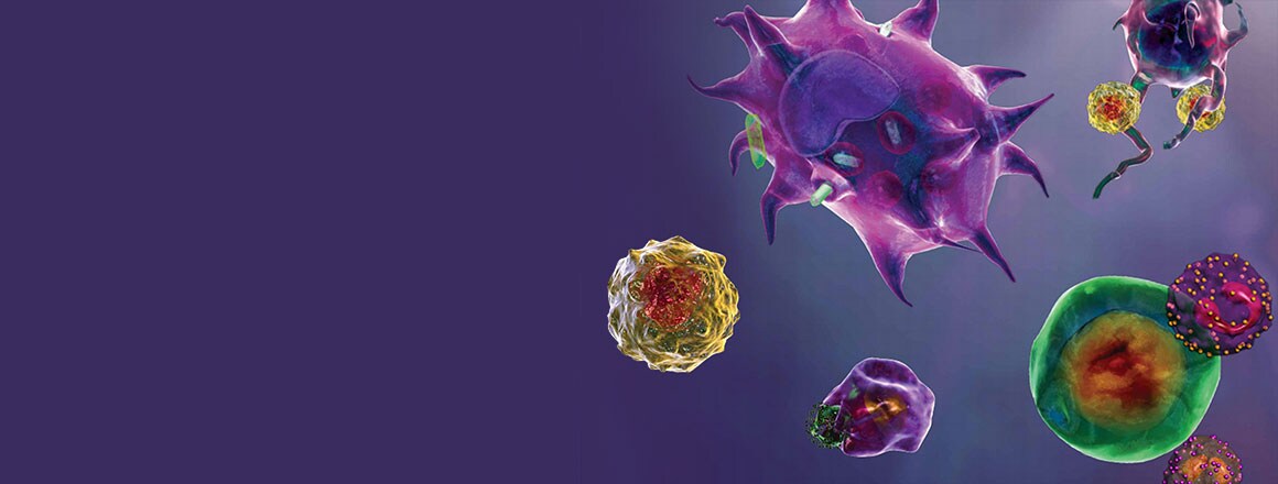 Pro-inflammatory cytokines Pro-inflammatory cytokines