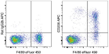 Graphs of mouse peritoneal macrophage CD206 expression Two panel graph showing constitutive expression of CD206 in mouse small and large peritoneal macrophages