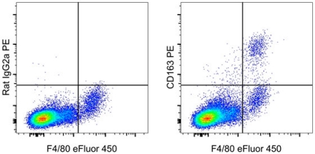 Graphs of mouse peritoneal macrophage expression of CD163 Two panel graph showing expression of CD163 in both mouse small and large peritoneal macrophages