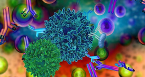 Labeling and detection information Labeling and detection information