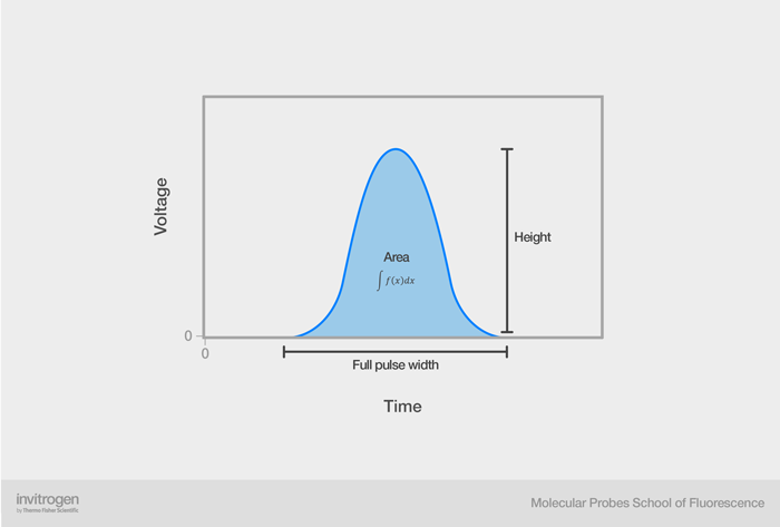 Anatomy of the voltage pulse Anatomy of the voltage pulse