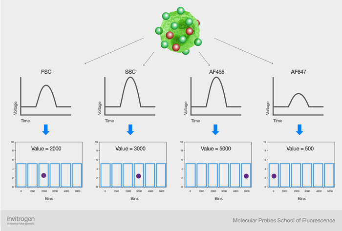 Voltage pulse binning for all parameters associated with a single cell Voltage pulse binning for all parameters associated with a single cell