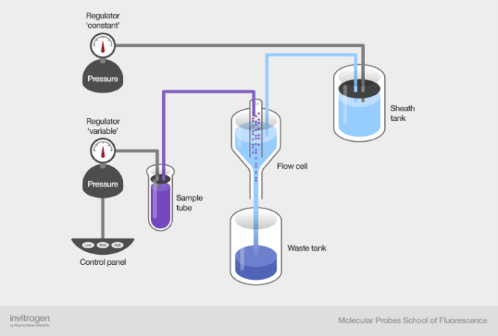 Differential pressure based fluidic system Differential pressure based fluidic system