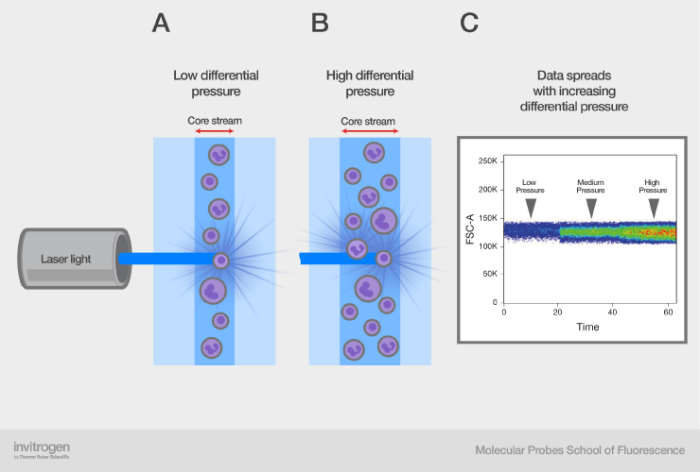 Impact of increasing pressure on flow cytometry data Impact of increasing pressure on flow cytometry data