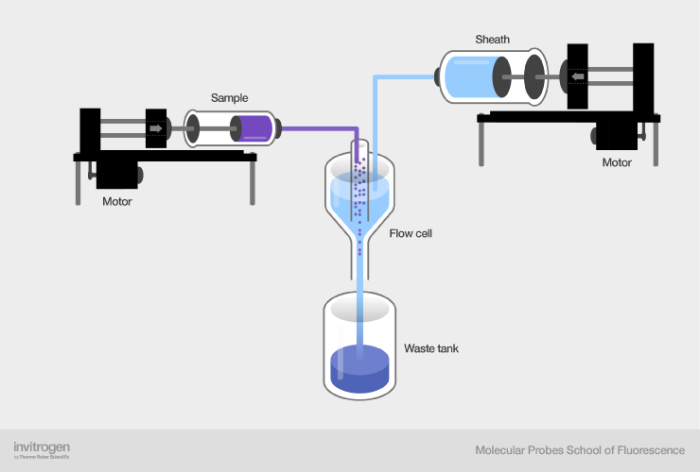 Schematic of a peristaltic, syringe-pump fluidic system Schematic of a peristaltic, syringe-pump fluidic system