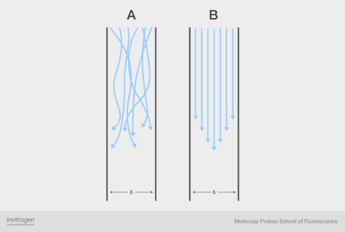 Schematic of particle movement Schematic of particle movement