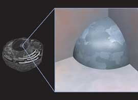Nucleus structure Schematic of cell structure with expanded view of the nucleus