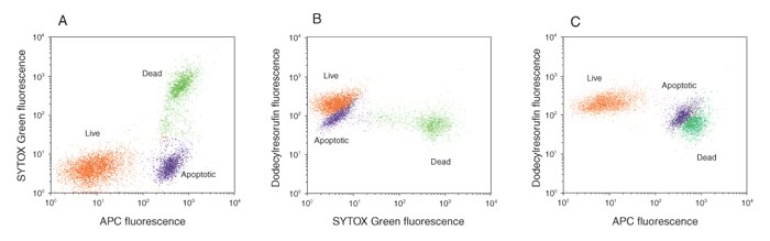 Results from flow cytometry metabolic and apoptotic assays 3 dot plots of live, dead and apoptotic cells stained with the Metabolic Activity/Annexin V/Dead Cell Apoptosis Kit.
