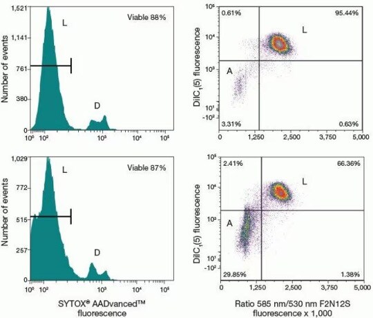 Flow plots showing apoptosis detection Scatter plot using Violet Ratiometric Membrane Asymmetry Probe and Dead Cell Apoptosis kit showing membrane potential loss using MitoProbe DilC1(5)