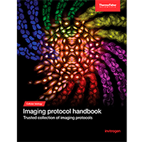 Imaging protocol handbook decorative image