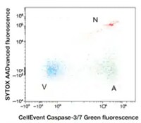 flow cytometry plot bivariant plot of live, dead, necrotic cells