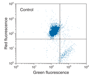 Bivariate JC-1 analysis of mitochondrial membrane potential (A) Four bivariate flow cytometry plots showing different shifts in cell populations (compared to the control) following induction by valinomycin, staurosporine or both.