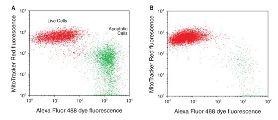MitoTracker Red CMXRos dye mitochondria membrane potential detection Flow cytometry dot plot showing separation of apoptotic and healthy cells in treated versus untreated cells.
